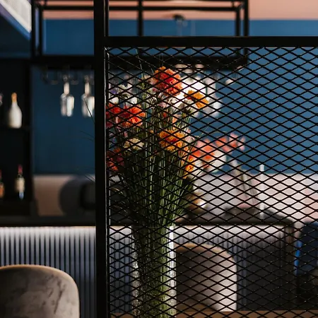 Eleven By Warren Collection