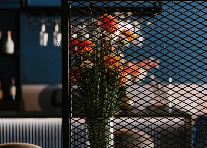 Eleven By Warren Collection